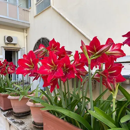 Appartement Il Giglio Rosso *